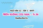 Soạn bài Thực hành đọc: Trên xuồng cứu nạn trang 36 Ngữ văn 12 Kết nối tri thức